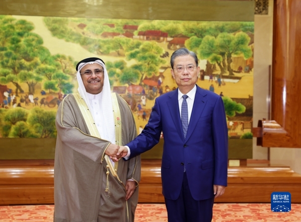 趙樂際同阿拉伯議會(huì)議長歐舒米舉行會(huì)談