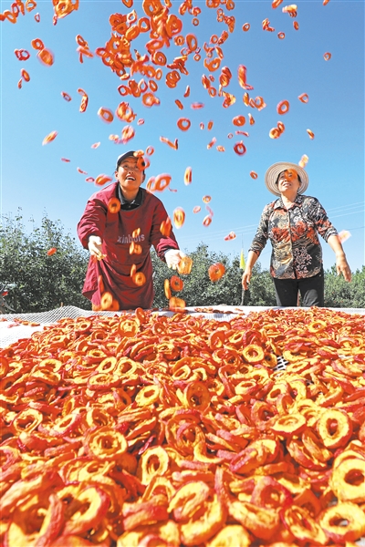  加強生態(tài)保護 推動綠色轉(zhuǎn)型