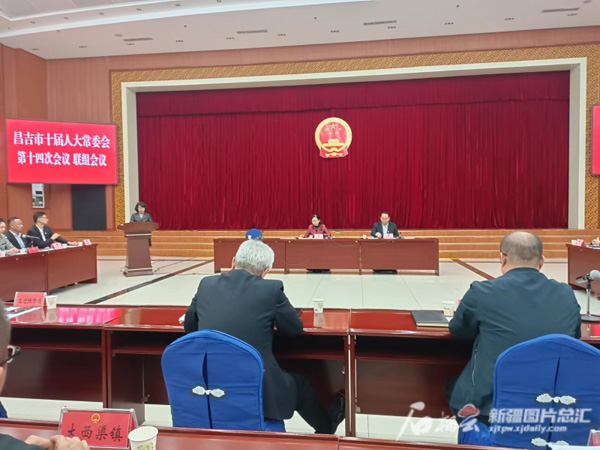  百姓的“救命錢”怎么守？昌吉市人大常委會專題詢問“辣味”足