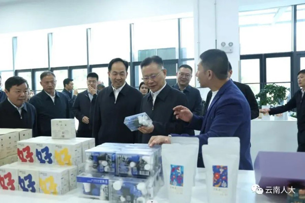  云南省人大常委會聽取和審議專題調(diào)研報告推動系列“三年行動”高質(zhì)量實施
